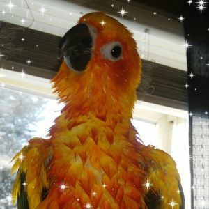 Meet your Posher, Mariah